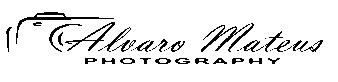 alvaromateus.com
